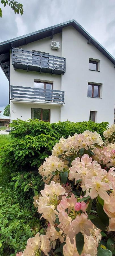 Apartamenty Montania Wisla Exterior photo