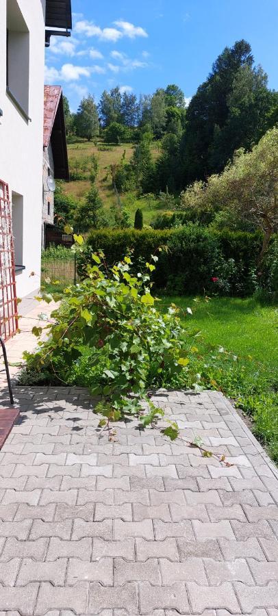Apartamenty Montania Wisla Exterior photo